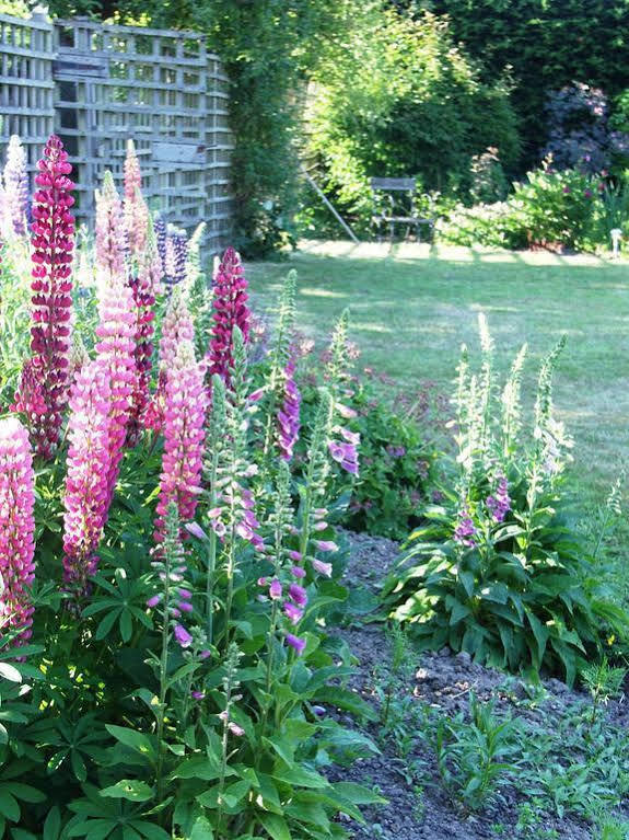 Bed and Breakfast Catton Old Hall Norwich Exteriér fotografie